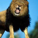 عبدالناصرمفتاح العنزى