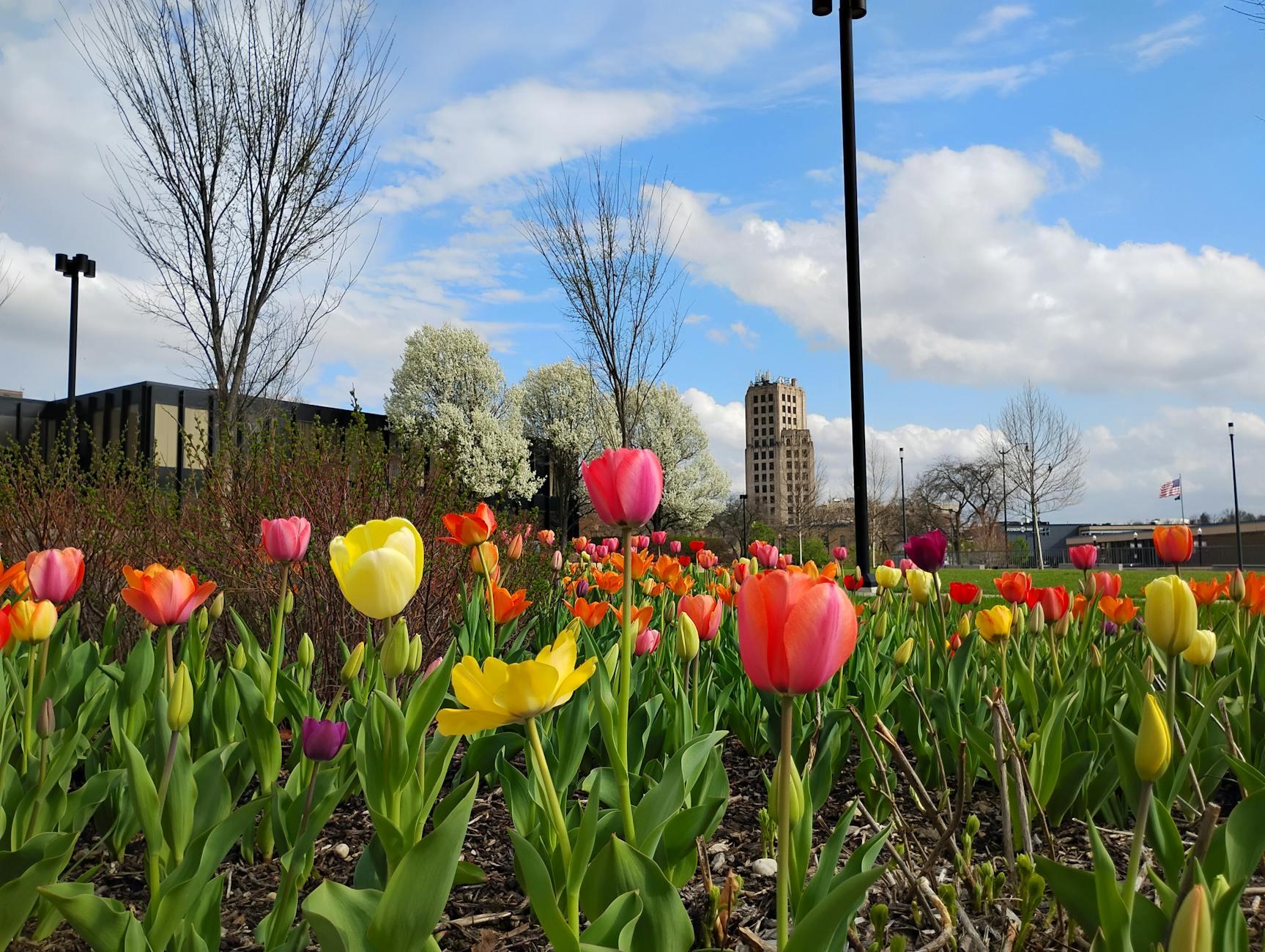 Ann Arbor