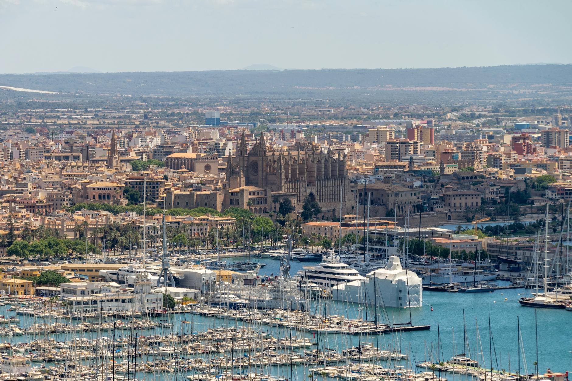 Palma