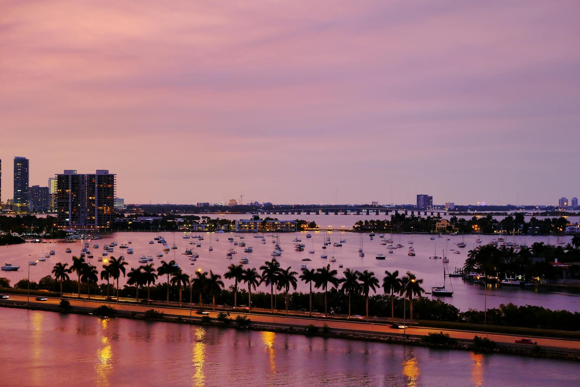 Palmetto Bay