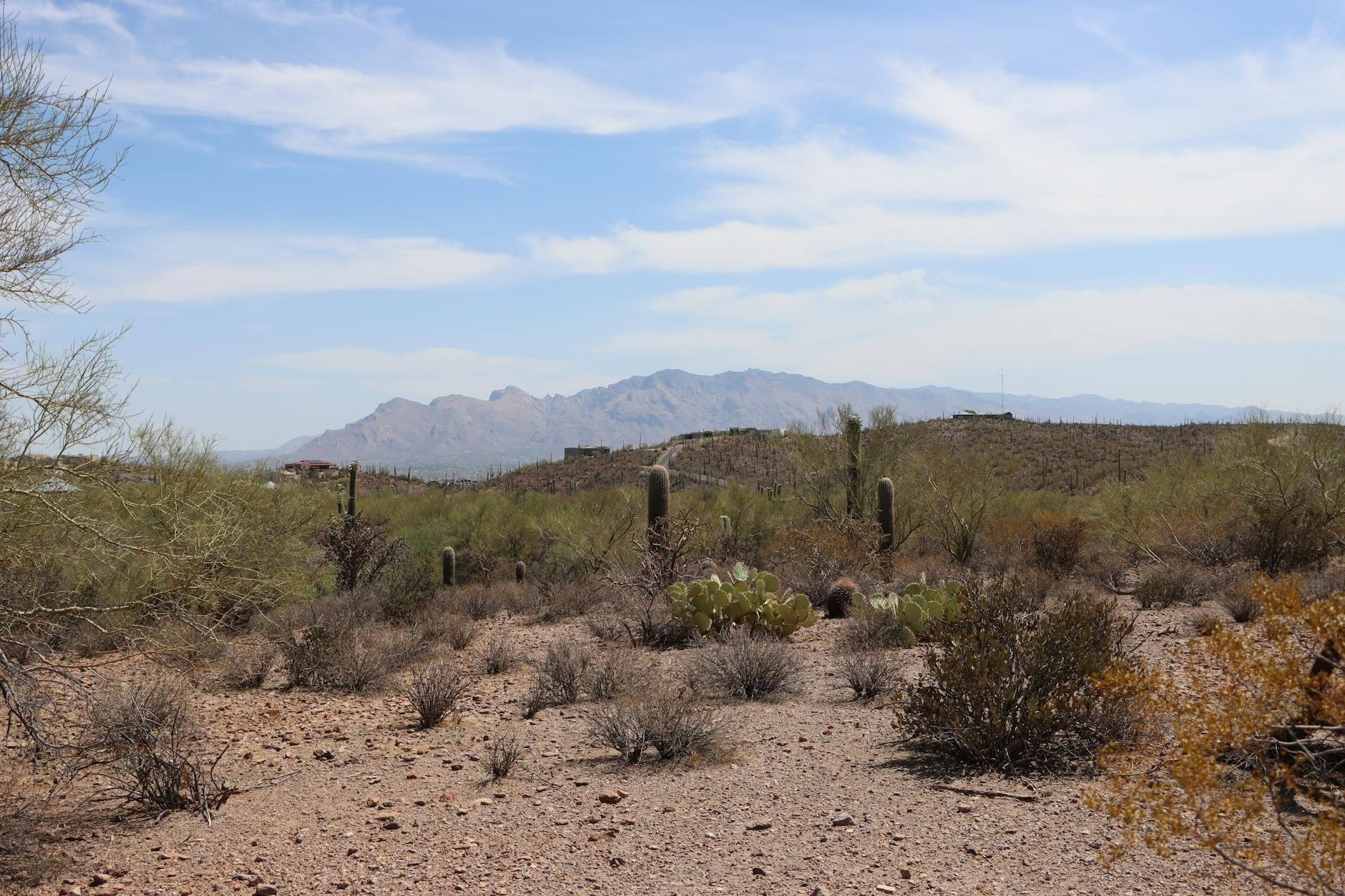 Tucson