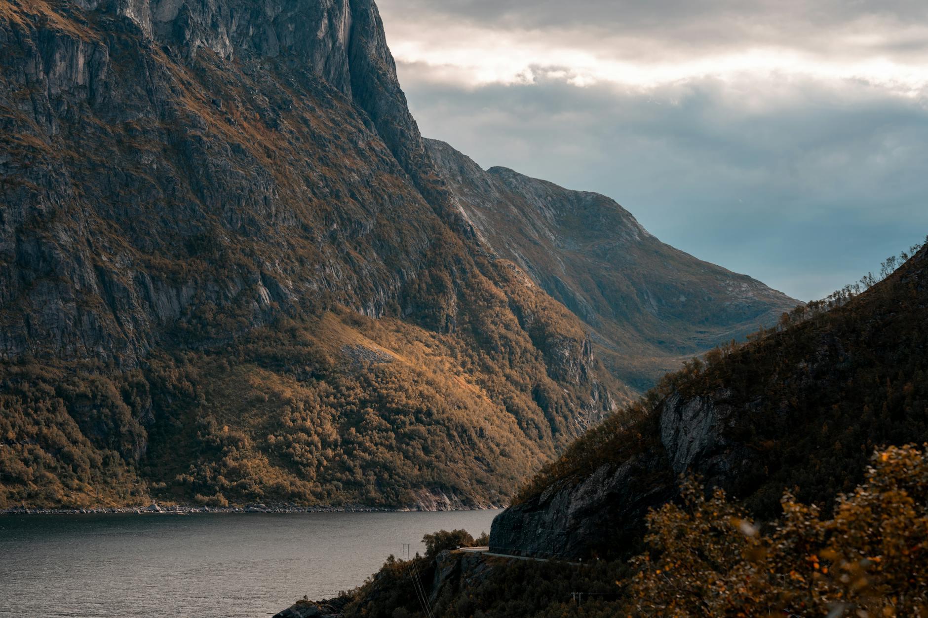 Norvegia