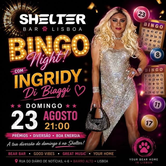 BINGO NIGHT NO SHELTER!