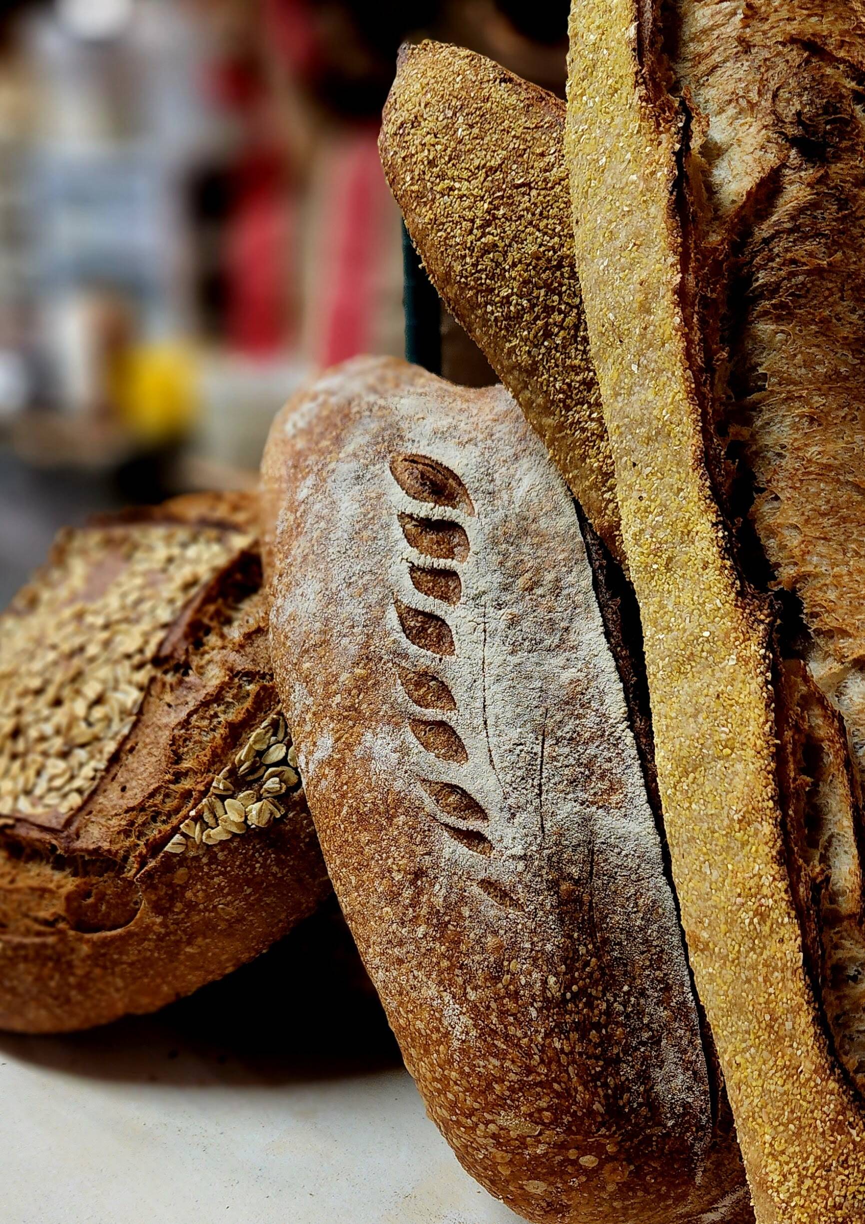 Friday Jalapeño + Cheddar Sourdough Baking