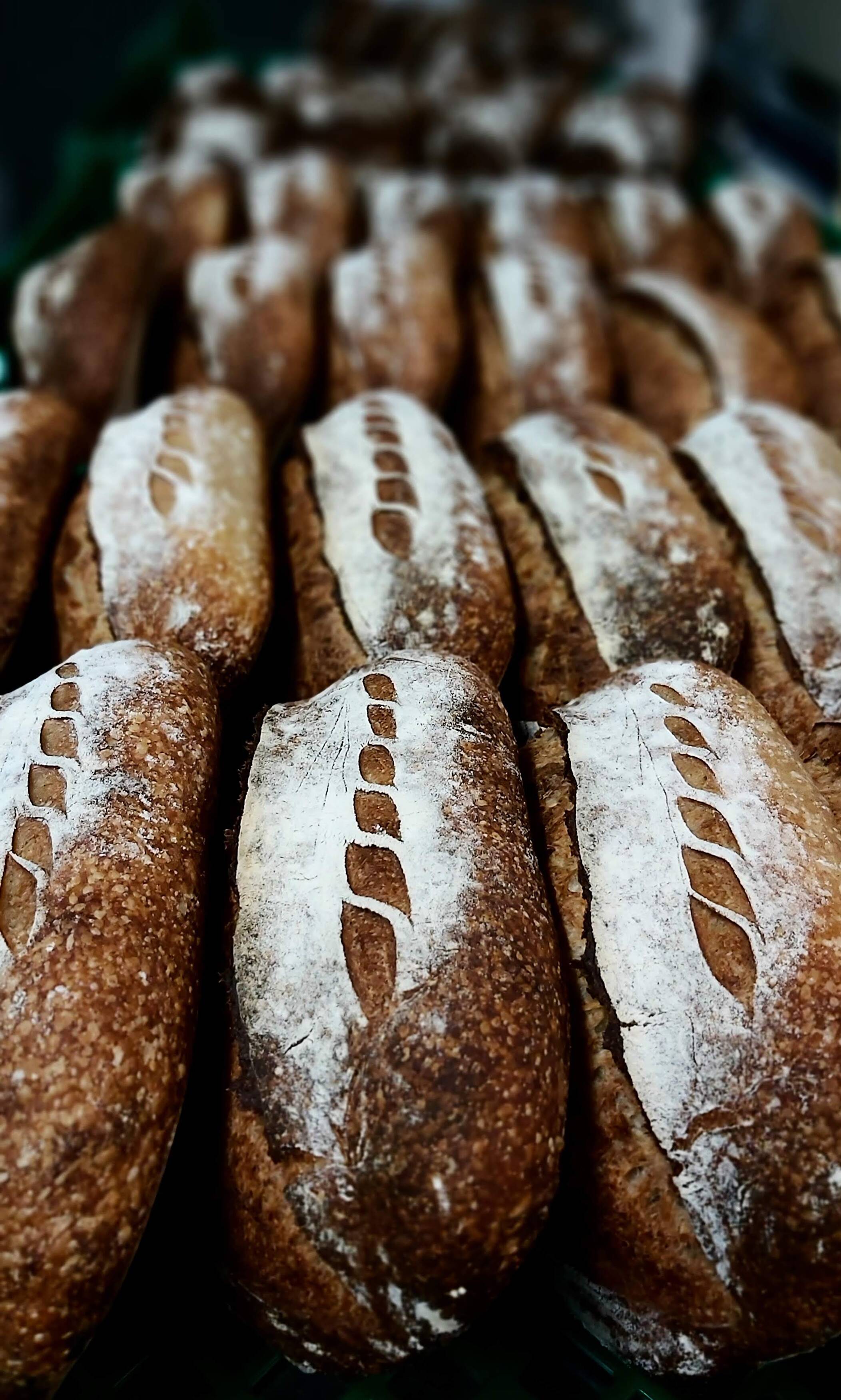 Wednesday Sesame Sourdough Baking