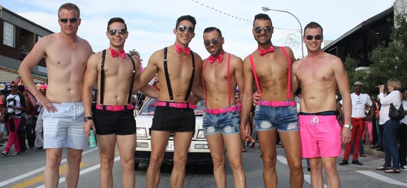 Pink Loerie Mardi Gras 2026