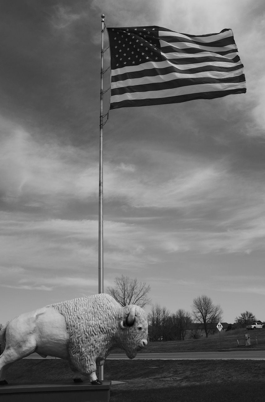 Buffalo Pride