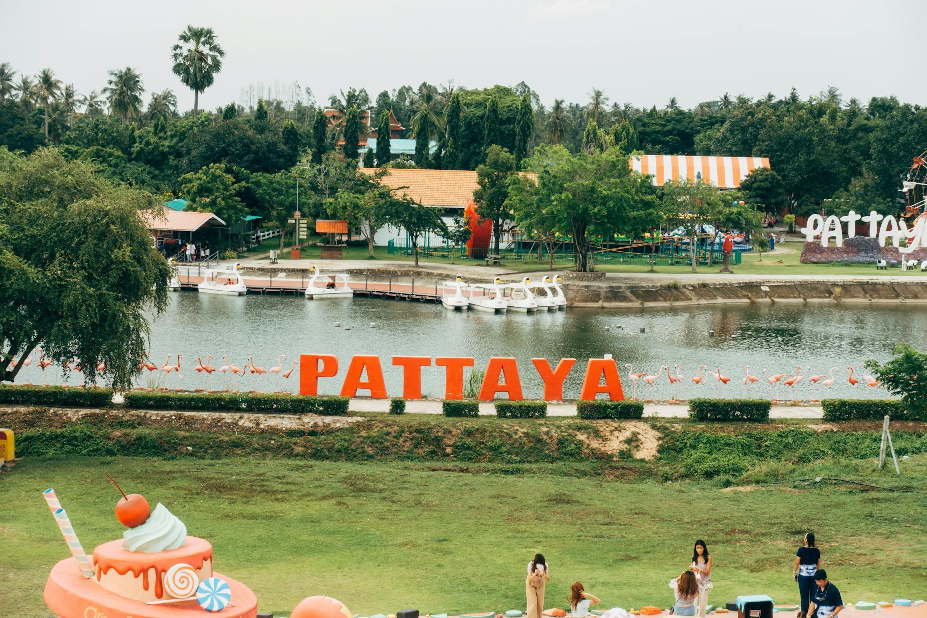 Circuit Festival Asia