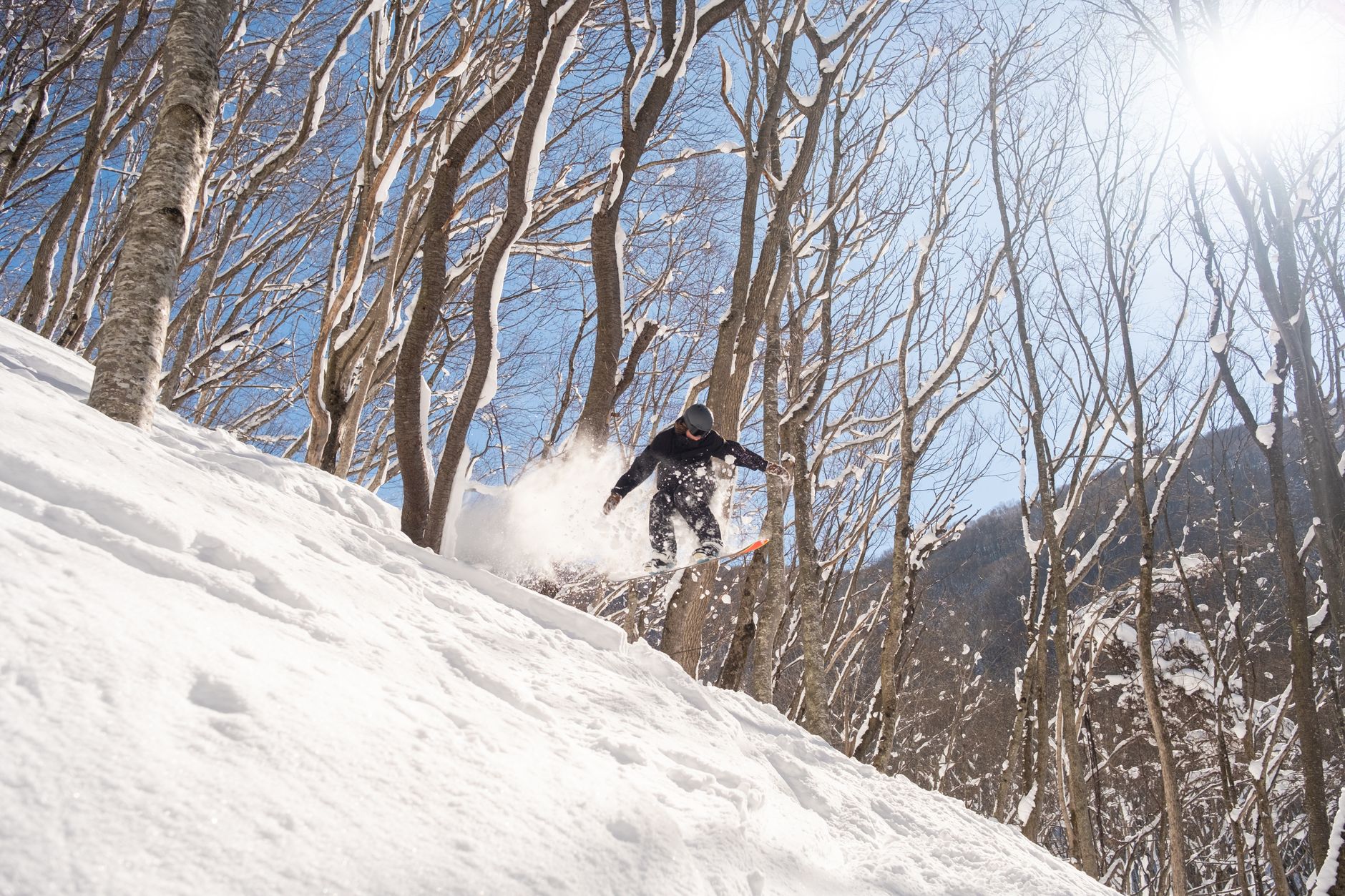 Gay Ski Week Hakuba