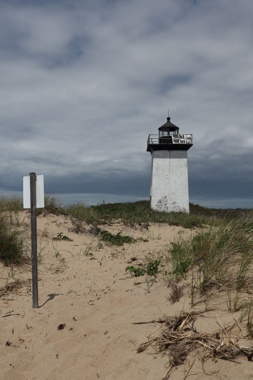 Holly Folly Provincetown