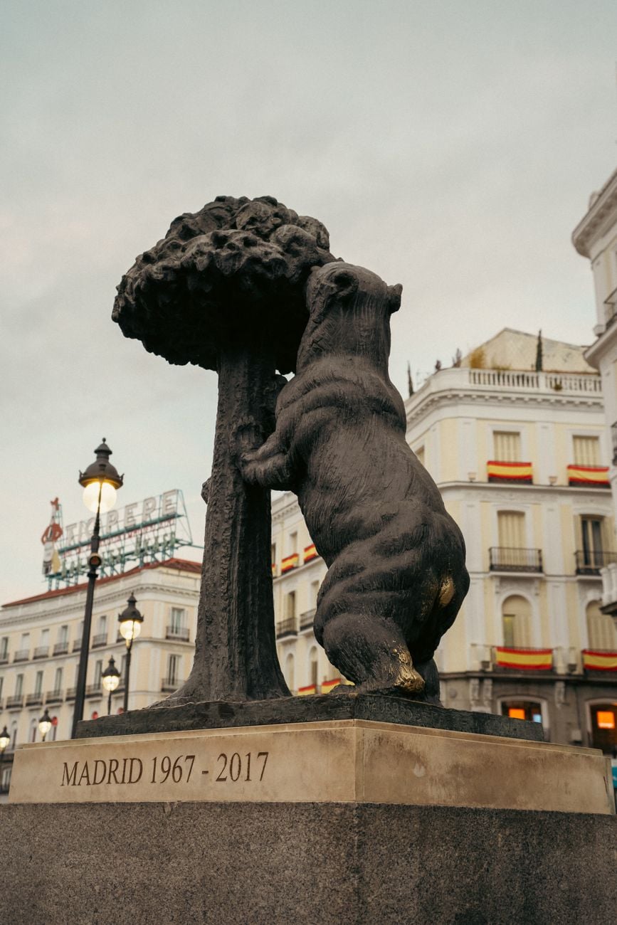 MadBear Madrid