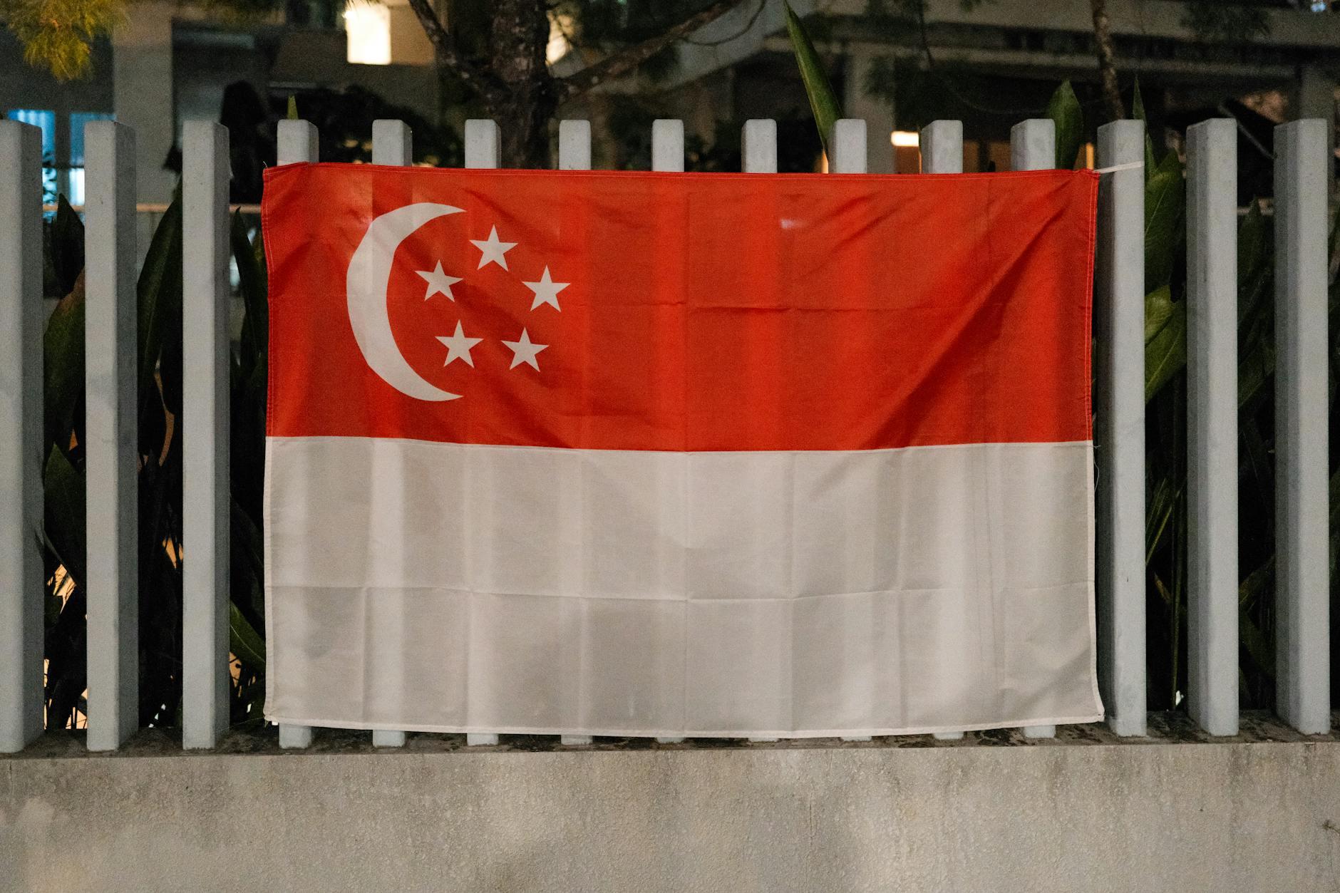 Pink Dot Singapore 2026