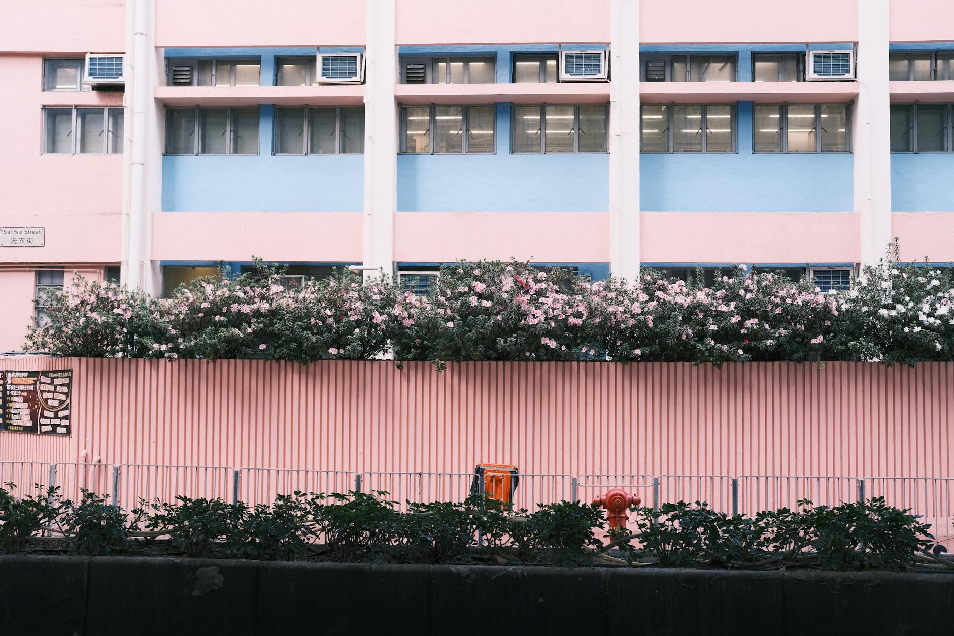 Pink Season Hong Kong 2026