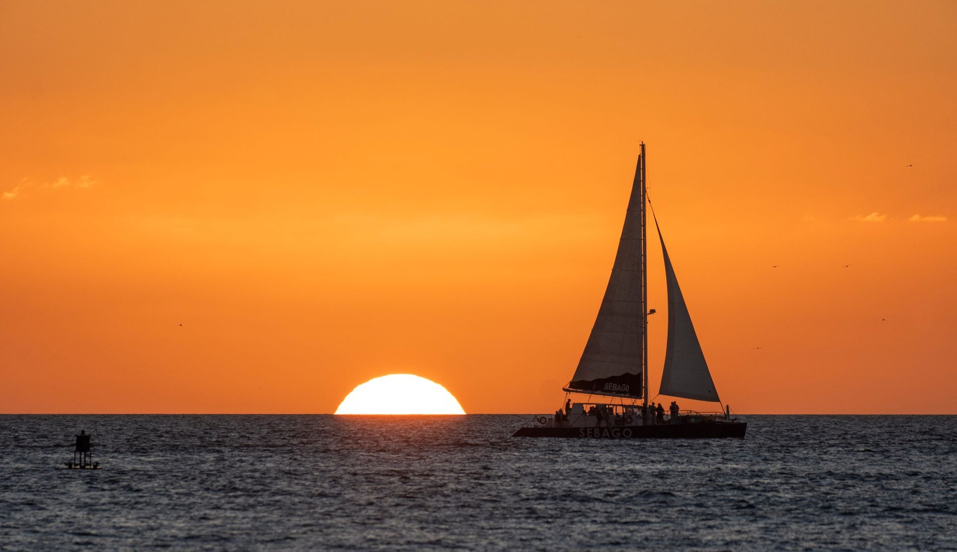 Tropical Heat Key West