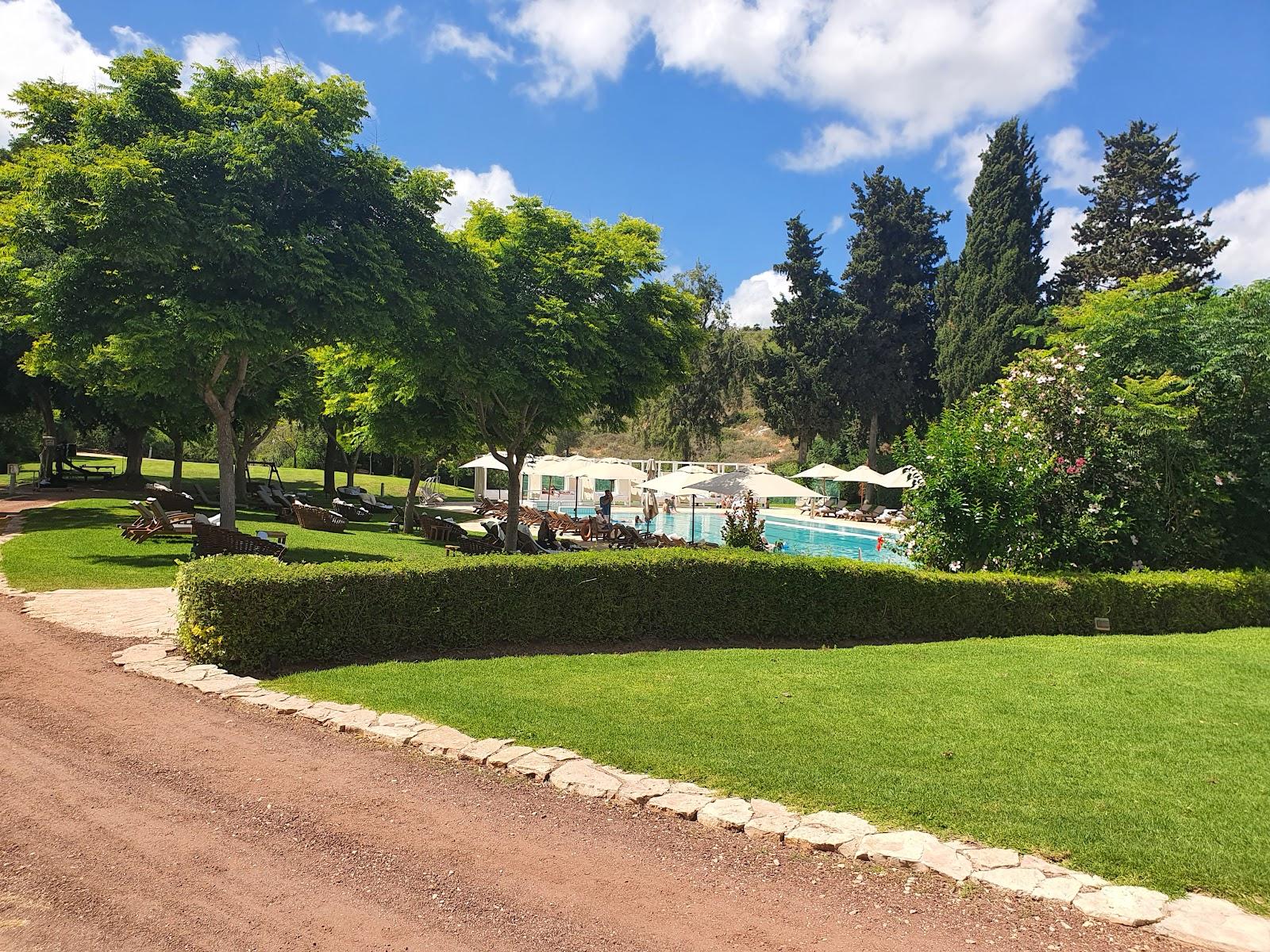 Resort Carmel Forest Hotels in Haifa – GayOut Guide