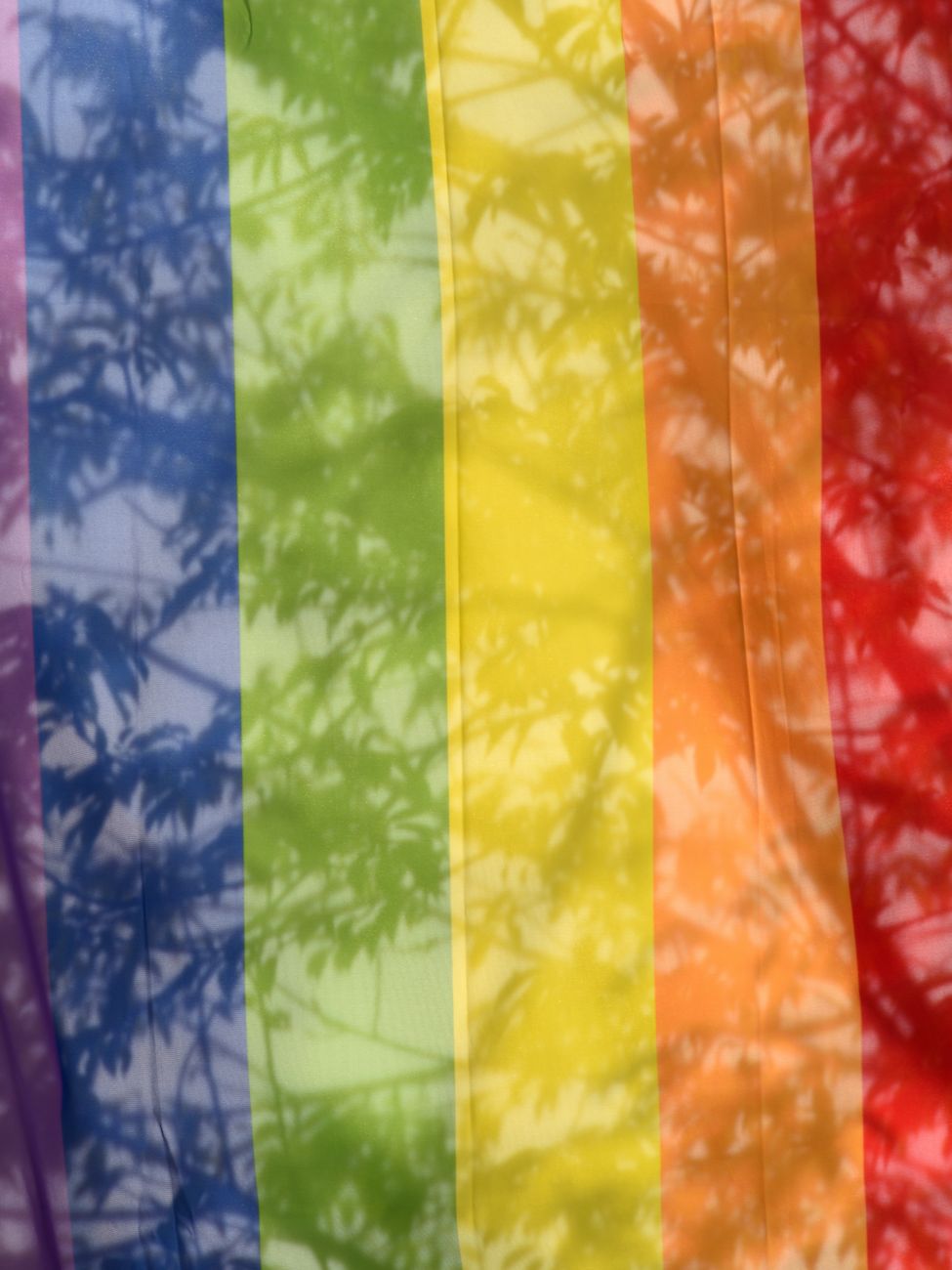 Gay & Pride tours in Hannover
