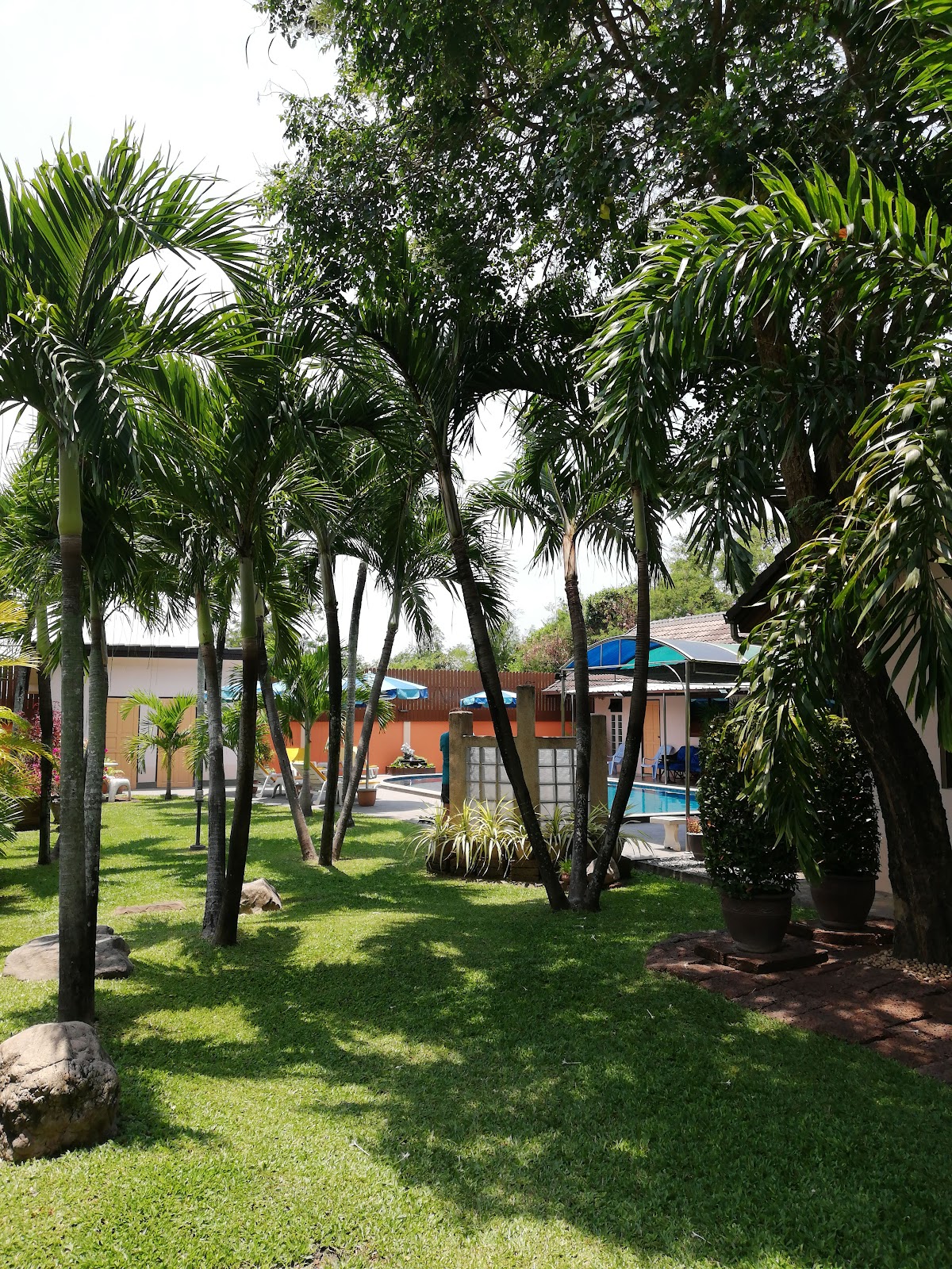Lonops Gay Paradise Hotels in Pattaya – GayOut Guide