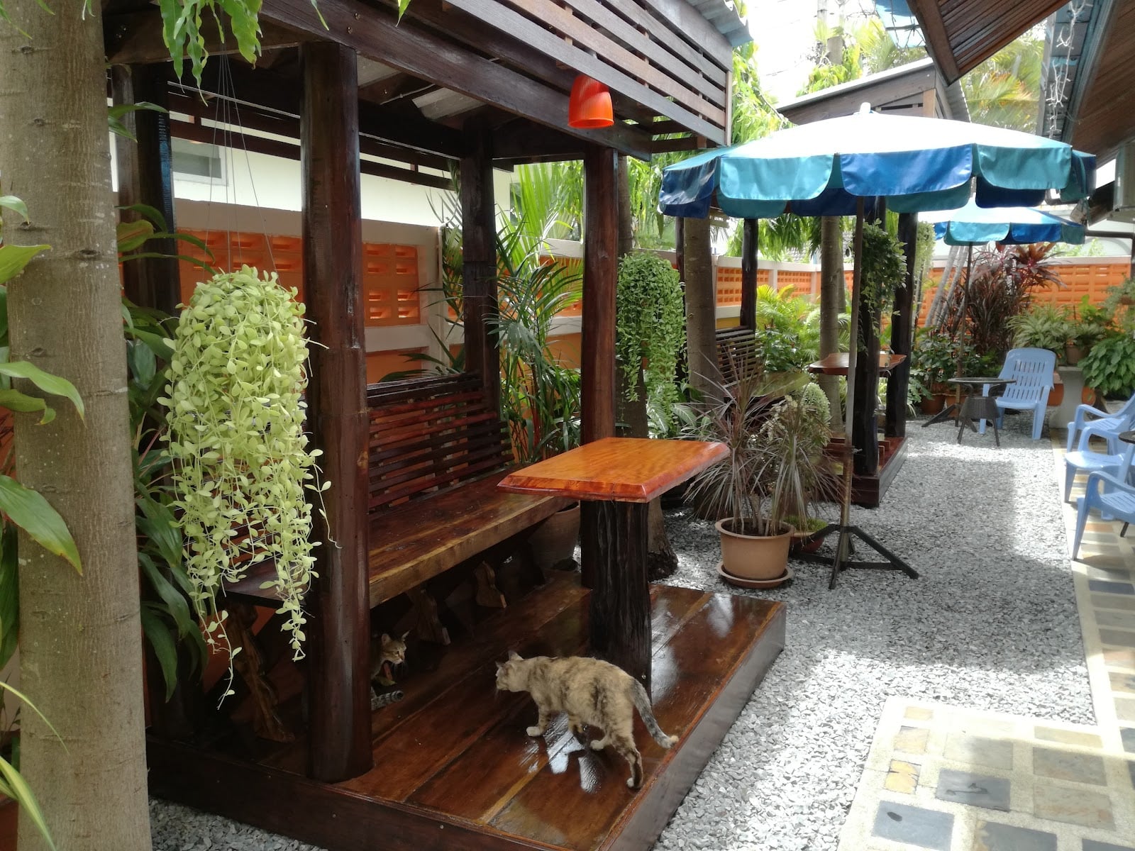 Lonops Gay Paradise Hotels in Pattaya – GayOut Guide
