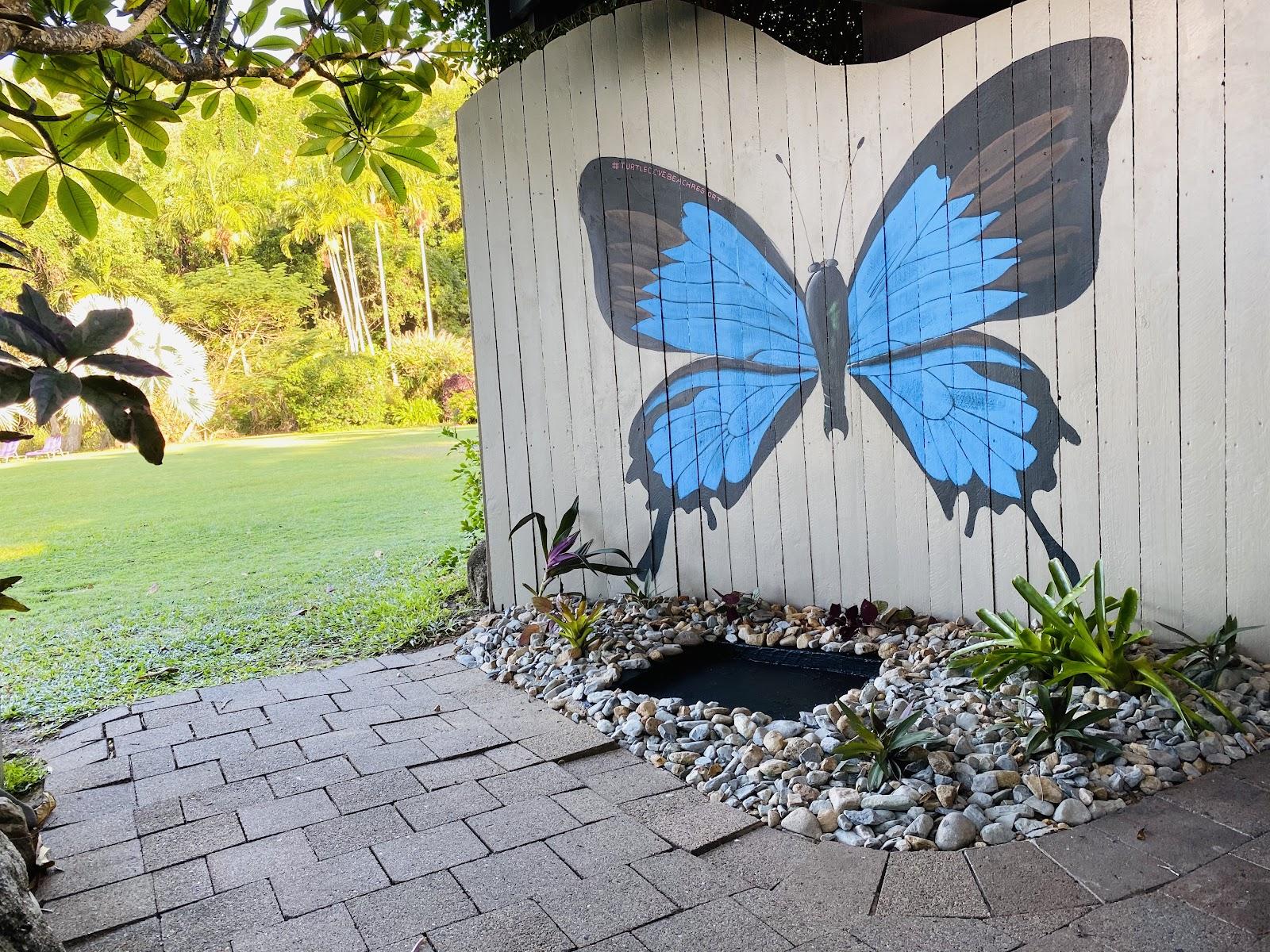 Turtle Cove Beach Resort Hotels in Craiglie – GayOut Guide