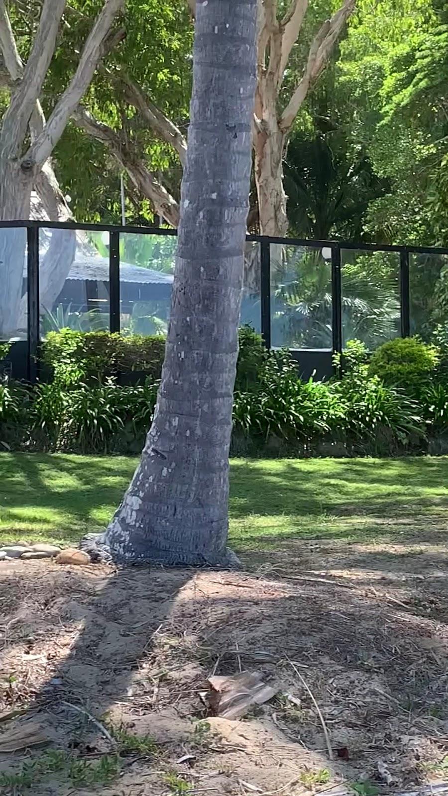 Turtle Cove Beach Resort Hotels in Craiglie – GayOut Guide