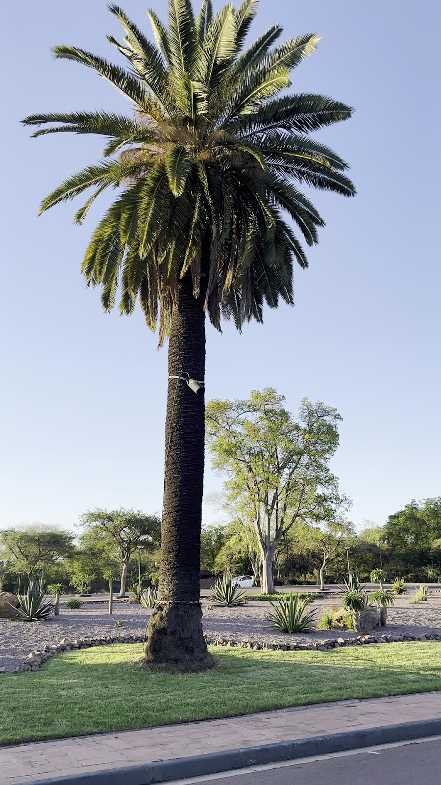 Grand Palm Hotel Hotels in Gaborone – GayOut Guide