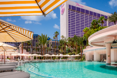 Flamingo Las Vegas Hotels in Las Vegas – GayOut Guide