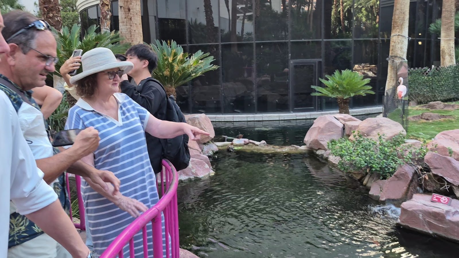 Flamingo Las Vegas Hotels in Las Vegas – GayOut Guide