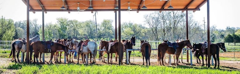 River Ranch-Texas Horse Park LGBTQ+ Organizations in Dallas – GayOut Guide