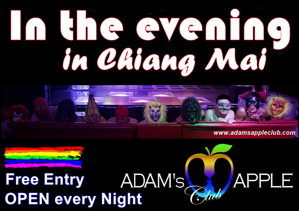Minibar Ultra Lounge & Café Bars & Clubs in Chicago – GayOut Guide