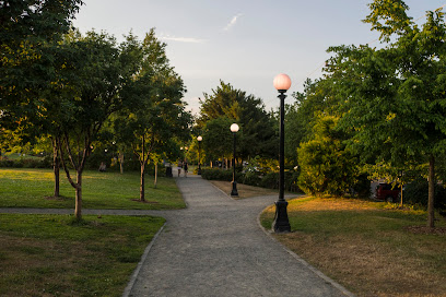 Cal Anderson Park Cruising Areas in Watertown – GayOut Guide