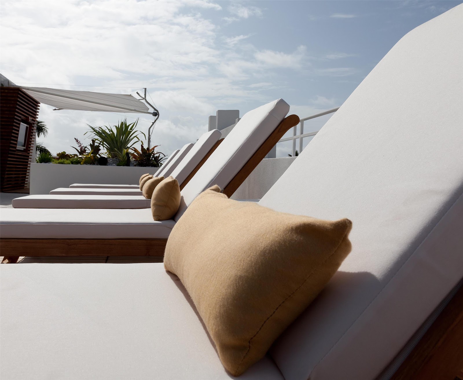 Dream South Beach Hotels in Miami – GayOut Guide