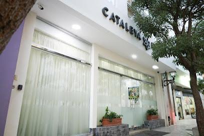 Hotel Cataleya Hotels in Almere – GayOut Guide