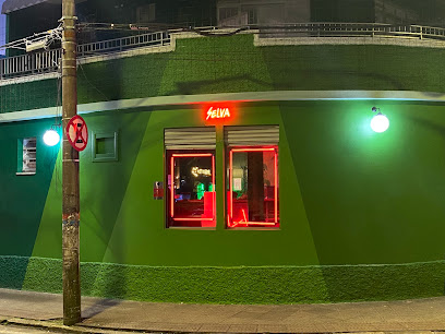 SELVA Bar Floripa Bars & Clubs in Florianópolis – GayOut Guide