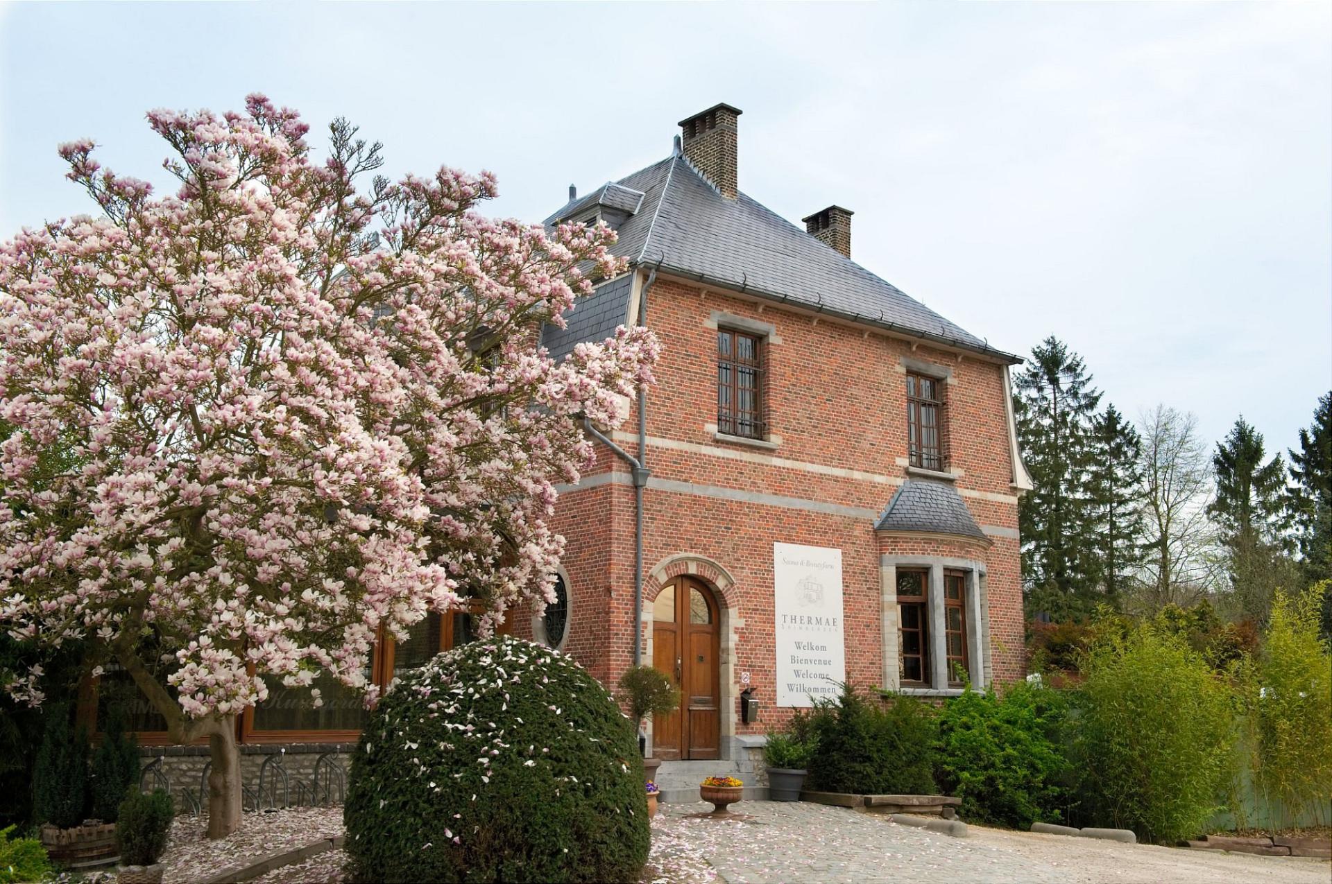 Thermae Grimbergen Hotel Hotels in Grimbergen – GayOut Guide