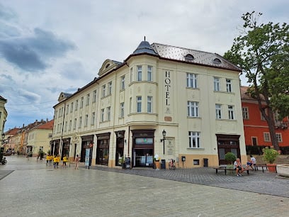 Hotel Domus Collis Hotels in Győr – GayOut Guide