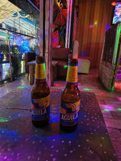 Brokeback Mountain LGBT disco bar KARAOKE Bars & Clubs in Bogotá – GayOut Guide