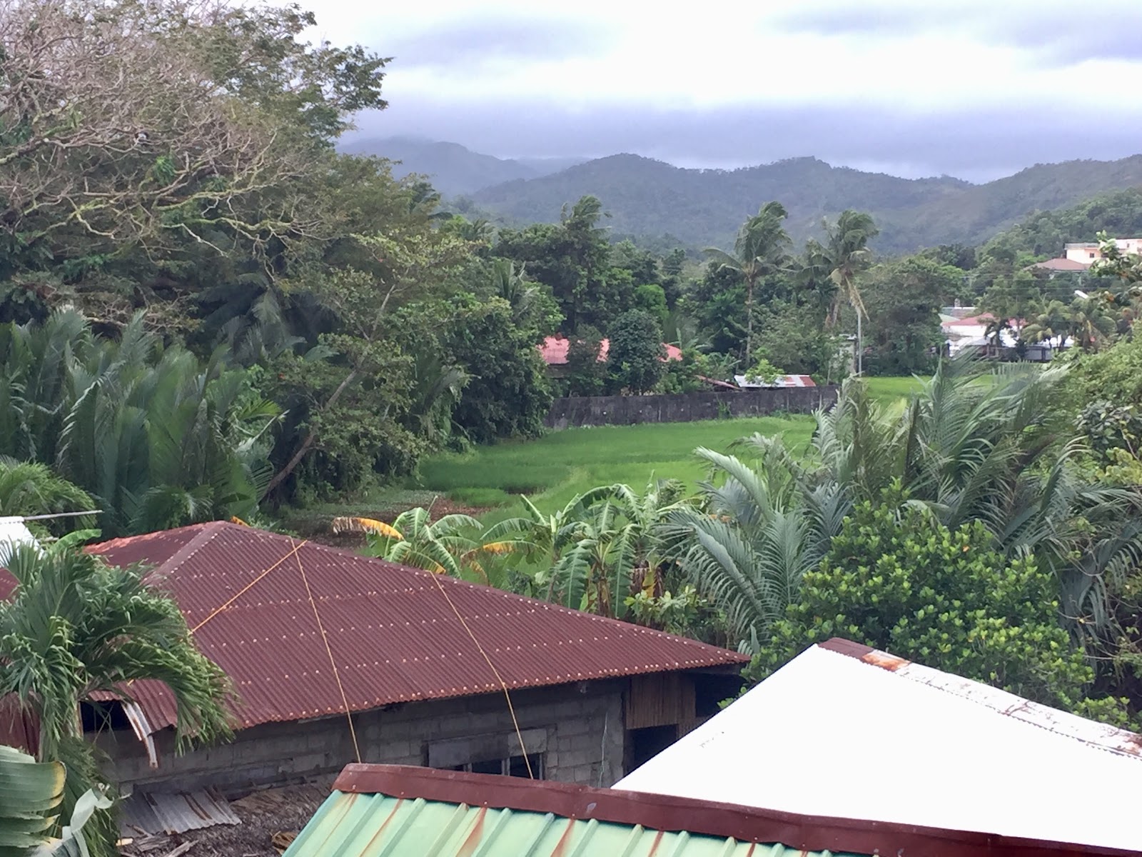 Hangout Beach Resort Hotels – GayOut Guide