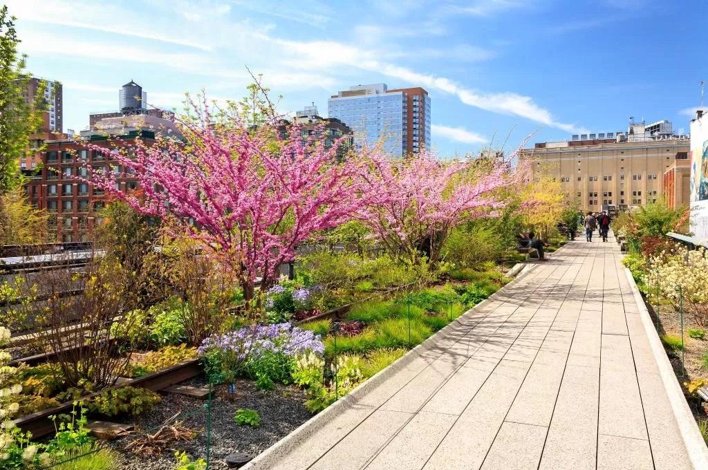 Chelsea Pines Inn Hotels in New York – GayOut Guide