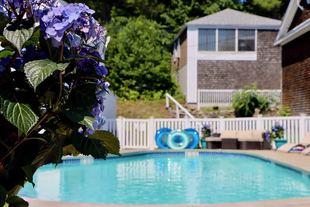 Sea View Motel Hotels in Ogunquit – GayOut Guide