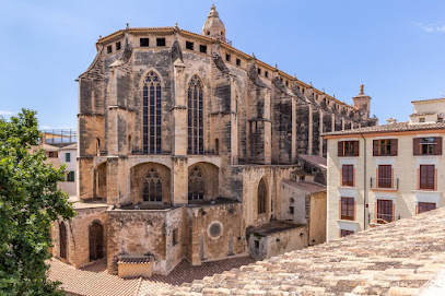 El Josemari Hostel Hotels in Palma – GayOut Guide