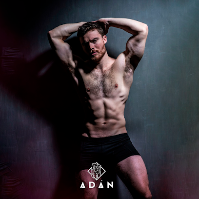 Adán Club Gay Bars & Clubs in Puebla – GayOut Guide