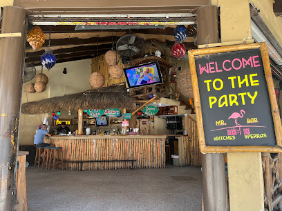 Mr. Flamingo Bars & Clubs in Puerto Vallarta – GayOut Guide