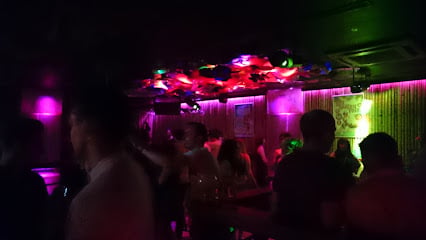 Reading Lola Lo Bars & Clubs in Reading – GayOut Guide