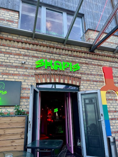 Skapis queer bar Bars & Clubs in Riga – GayOut Guide