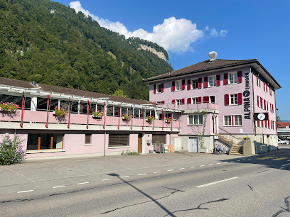 Hotel Alpina Einhorn Hotels in Sachseln – GayOut Guide