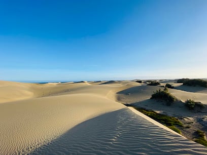 Maspalomas Dunes Cruising Areas in Maspalomas – GayOut Guide