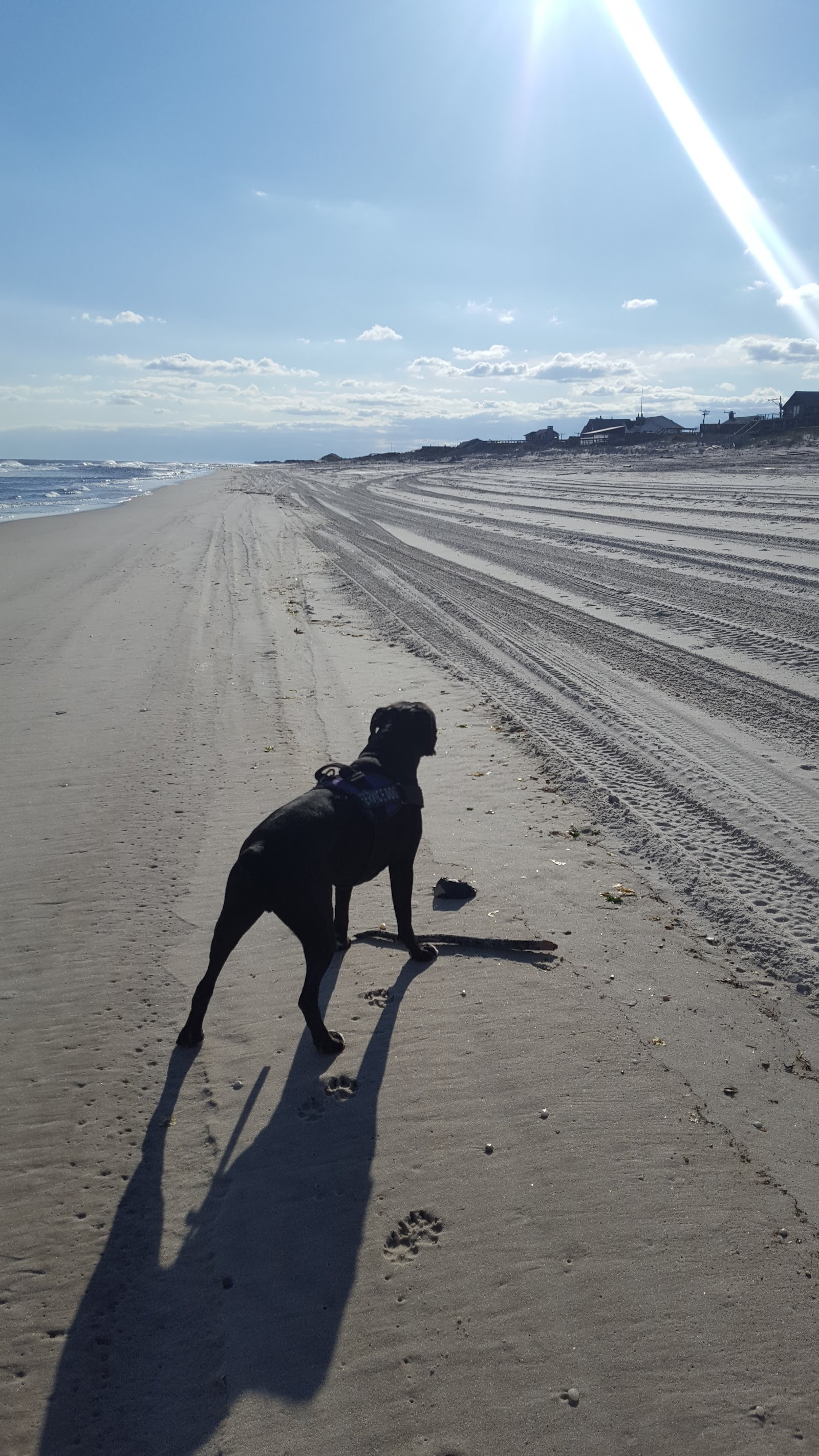 Fire Island Cherry Grove Beach
