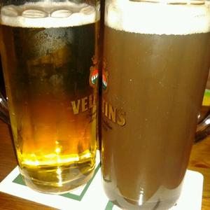 Bellagio Hotels in Las Vegas – GayOut Guide