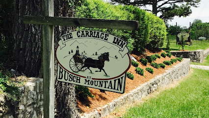 Hilltop on Busch mountain
