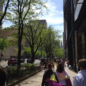 Walking tours in Rio de Janeiro